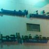 Al Hamra Hospital jeddah