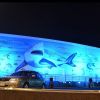 Fakieh aquarium in Jeddah