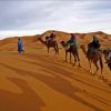 Camel Riding in Jeddah