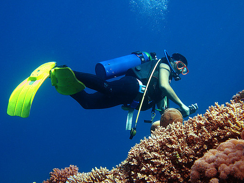 Desert Sea Divers Jeddah