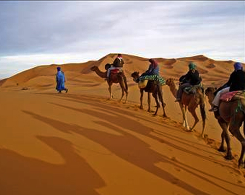 Camel Riding in Jeddah