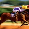 Equestrian Club in Jeddah  – Saudi Arabia